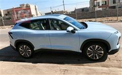 جيتور داشينج